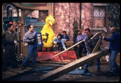 sesamestreet:  On Friday, we’ll be airing a very special episode