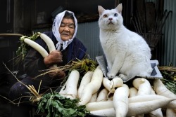 stonedpervert:     kittehkats:  Misao and Fukumaru.  “We will