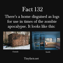 psych-facts:  tinyfacts:  There’s a home disguised as logs