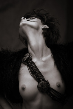 Le Reve
