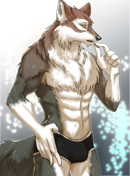 tumblr photo gayfurrypornpics 0