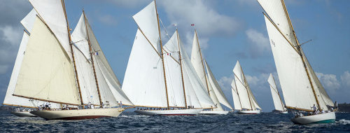 Lots of classic sail