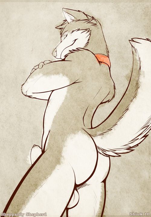 tumblr photo gayfurrypornpics 0