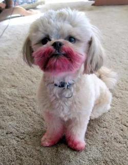 Nope, I haven’t seen your lipstick …
