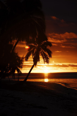 r2–d2:  Cook Island Aitutaki 