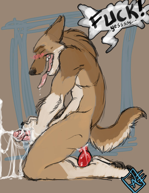tumblr photo gayfurrypornpics 0