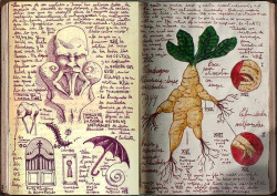 marykatherineblackwood:  The Lost Sketchbook of Guillermo del