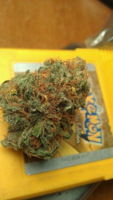  Blueberry M.O.B 