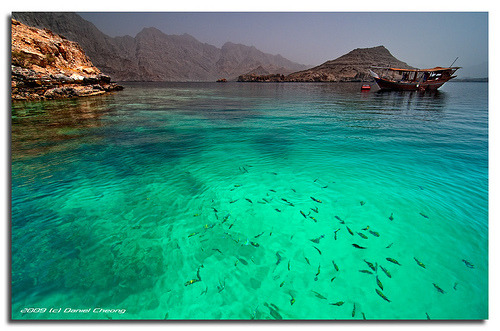 landscapelifescape:  fjords of Musandam, Oman/ United Arab Emirates Oman Emerald (by DanielKHC)