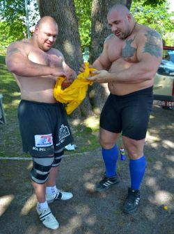 justbulls:  Thick Bulls