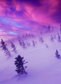 kitty-witch:  0rient-express:  The Winter Tempest (by Light of