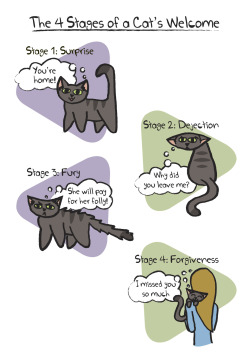 pawtalk:  Our 10th Comic! Yay!  Hey guys! Sorry this has nothing to do with Sherlock or pick-up lines, but everyone on the Internet likes cats, right? This comic is drawn by my awesome and talented roommate, Chelsea, from the perspective of her cat, Crick