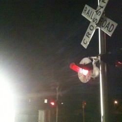 Dare to cross #dare #railroad #crossing #capecod #capecodcanal