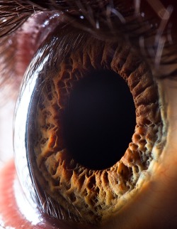 vfrankmd:  sosuperawesome:  Extreme close-ups of human eyes by