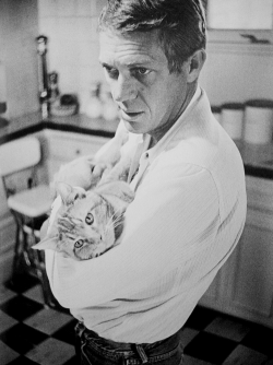 factoseintolerant:  Steve McQueen 