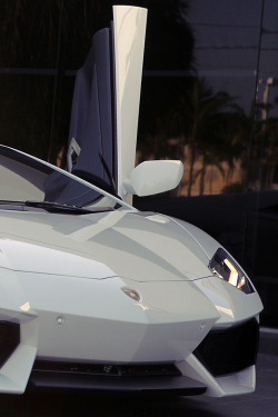 sexlane:  auerr:  Lamborghini Aventador  . 