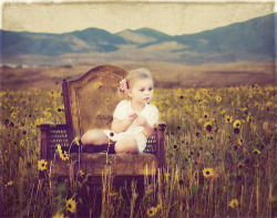 vintage sunflower | Flickr - Photo Sharing! @weheartit.com http://whrt.it/QdBolM