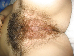 ohboyo31:  Nice hairy spread close up 