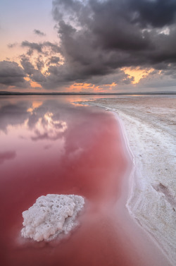 Salt Sea. The pink colour comes from the overabundance of sodium.