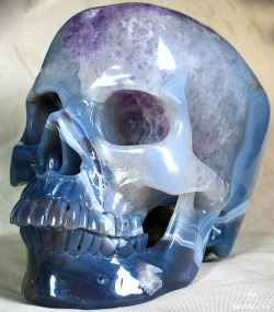elerinwen:   Crystal skull carved out of a single piece of Amethyst. 
