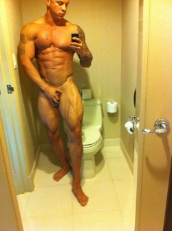 hard-muscles:  Vin Marco 