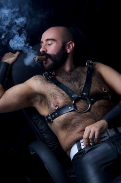 http://sambrcln.tumblr.com/archive