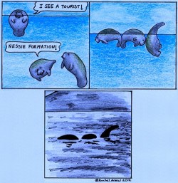 TUMBLRS BEST LOLS