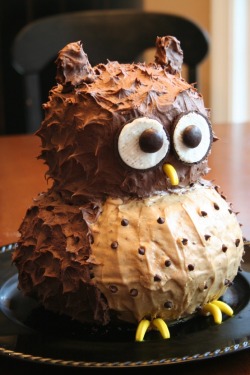 foodandvacations:  owl cake 
