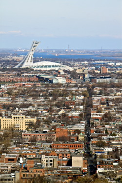 carolanegillphotography:  Montreal <3 