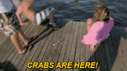 CRABS ARE HERE!
