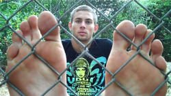 tfootielover:  there beautiful up against the fence … i wanna
