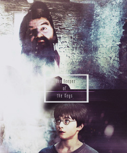 devendrabanharts:  Harry Potter chapters [4/198 epilogue]↳ The