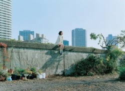 blo:  Air Doll (2009) - Hirokazu Koreeda 