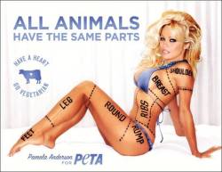 recoveringhipster:  Objectification and body shaming in PETA