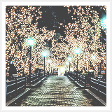  Winter + Lights         