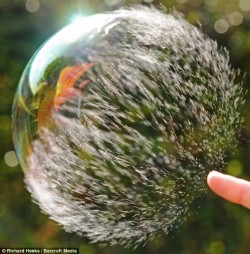 Don’t burst my bubble
