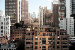New York, Mid-Manhattan Roof-Top Skyline, by Steve Ellaway: “New York Skyscrapers from high roof-top view, on sunny day in Spring. 51st Street on Lexington Avenue“ (Credits: gettyimages.com)