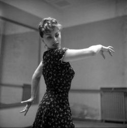 lordbyron44:  Sophia Loren  