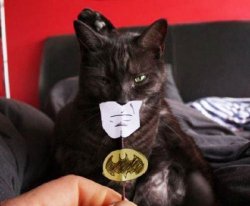 dorkly:  Catman PURR TO ME.