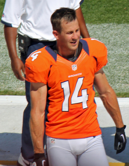 Brandon Stokley, NFL (many teams!)