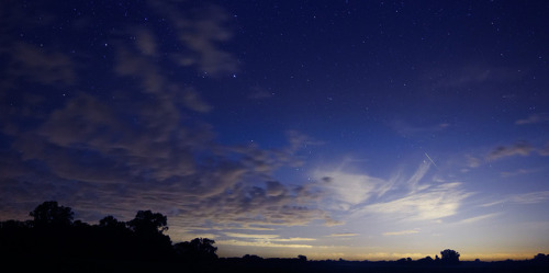 spacettf:  A Leonid Meteor Before Dawn by lrargerich on Flickr.