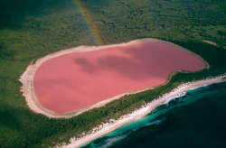 fallenpixel:  Pink Lake, Western Australia 
