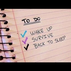 The daily plan since the semester started #school #life