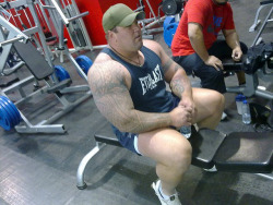 superbears:  SO WANT CUTE BULL