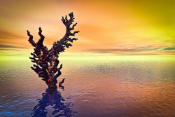 phutureprimitive:  The last coral by -Dermis- on Flickr. 
