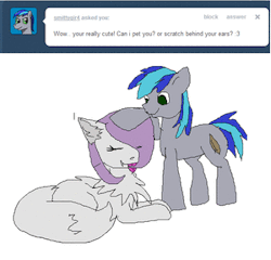 wolf-pony:  http://smittygir4.tumblr.com/ of course you can!
