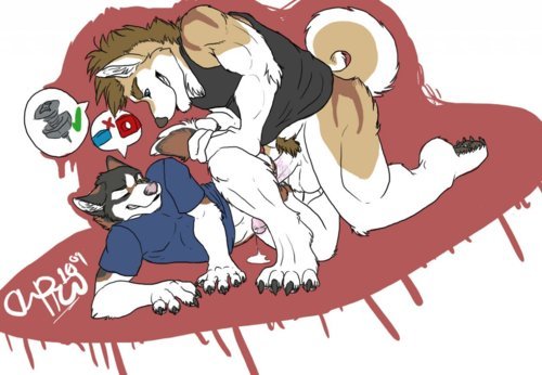 tumblr photo gayfurrypornpics 0
