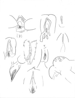 Several mare bit sketches I made while attempting to teach myself