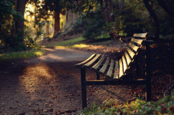 magiedesaugenblicks:  Bench by Shutter-Happy on Flickr.