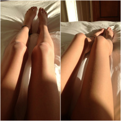 st-orm:  zodiaak:  budd—haa:  alo—haa:  budd—haa:  legs